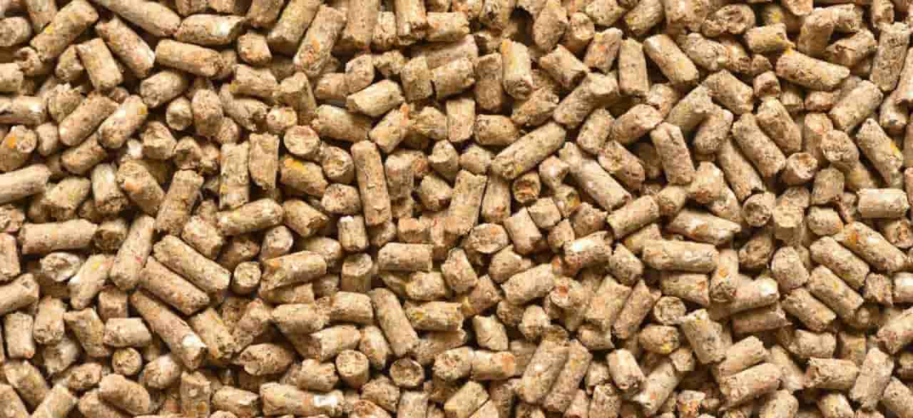 تصویر 2 از کود مرغی صنعتی با ساختار یکنواخت و کنترل شده